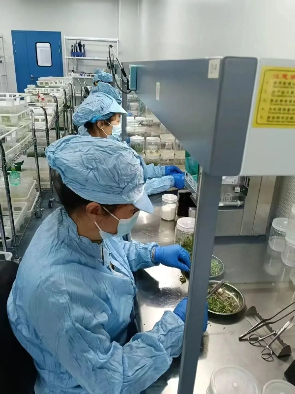 黃河三角洲農業高新技術產業示范區技術推廣的實踐與探索